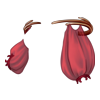 https://www.eldarya.it/assets/img/item/player//icon/e21fb34d3fb5b9310057aa9194e8044c~1620737104.png