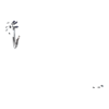 https://www.eldarya.it/assets/img/item/player/icon/8abff730bd07a057003d4cad253b2c86.png