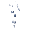 https://www.eldarya.it/assets/img/item/player/icon/ad06f3b067641a2e4015ed131c538642.png