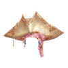https://www.eldarya.it/assets/img/item/player/icon/b9570fe8dc44c64097ed12e48bfdd5f2.png