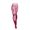 https://www.eldarya.it/assets/img/item/player/icon/e6fc0f3026205c039c8135627ab6af47.png