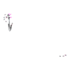 https://www.eldarya.it/assets/img/item/player/icon/edc171a530e3154c9491ca799e14b9eb.png
