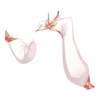 https://www.eldarya.it/assets/img/item/player/icon/ff6c8921865fe2a00a266f1f16770312.png